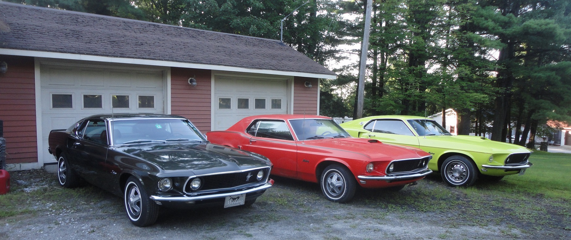 3 Mustangs